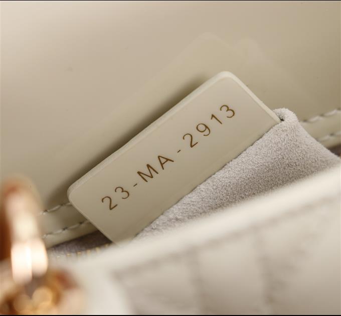 2025228Y600P205551637