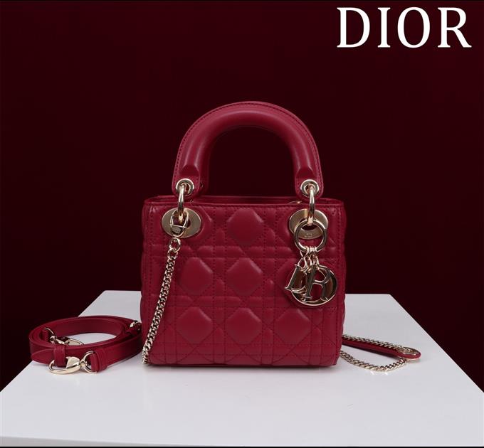 2025228Y600P205553671