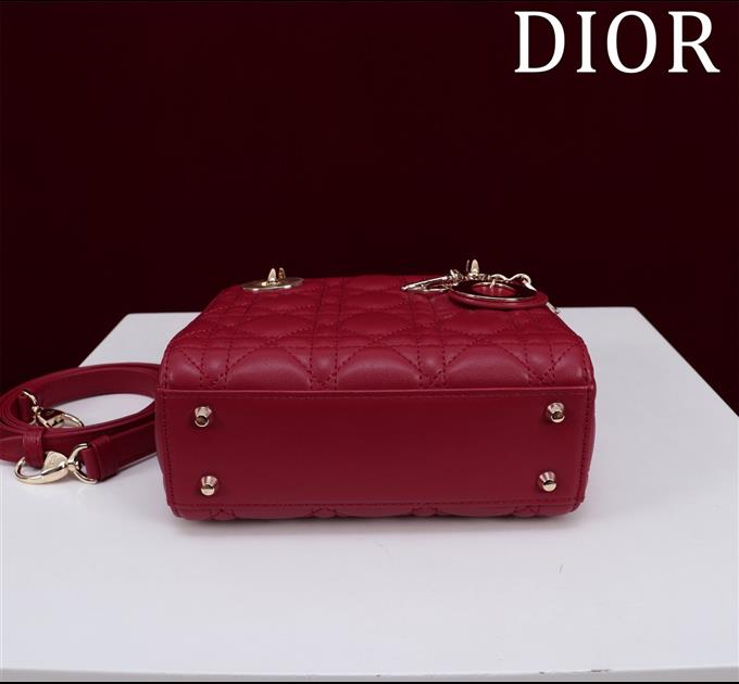 2025228Y600P205553718