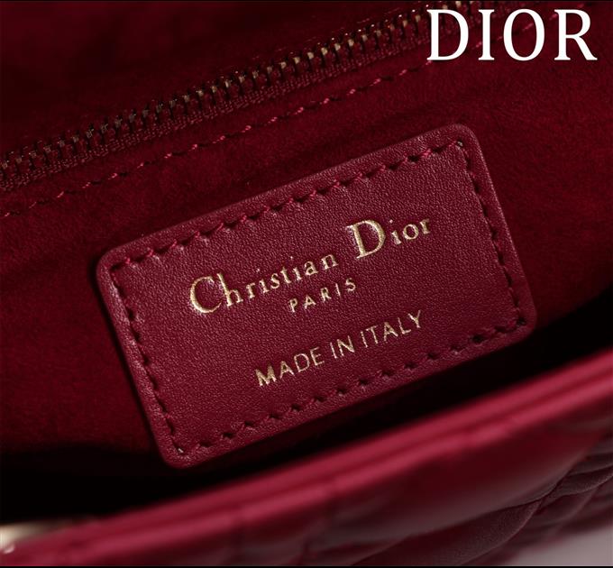 2025228Y600P205553781