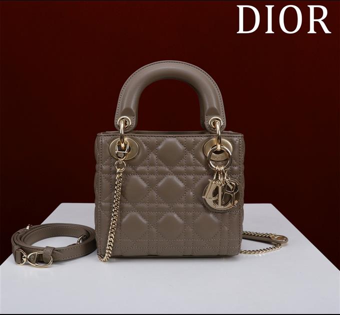 2025228Y600P205553812