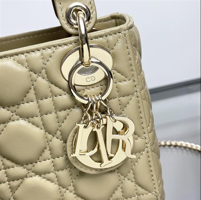 2025228Y600P205557179