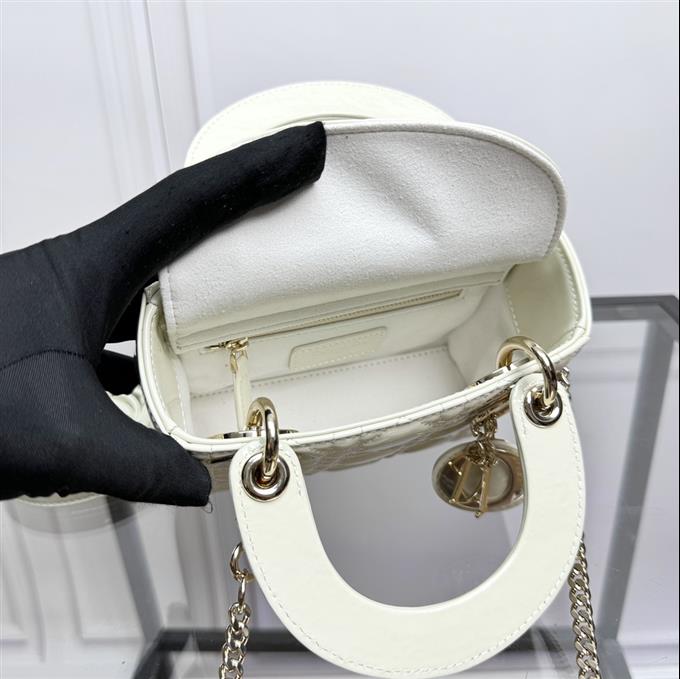 2025228Y600P205558124