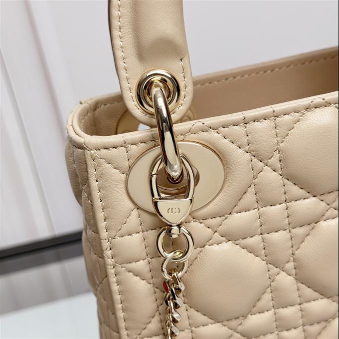 2025228Y600P205558577