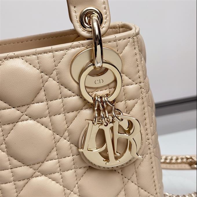 2025228Y600P205558593