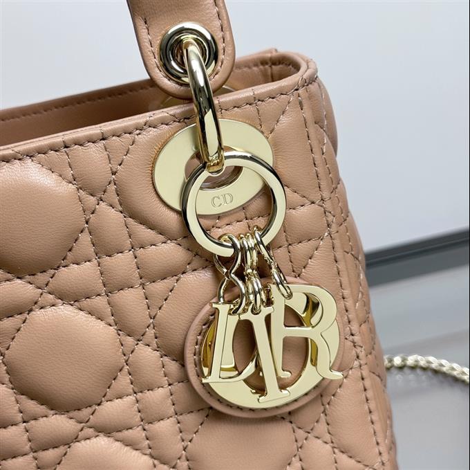 2025228Y600P205558719