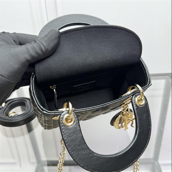 2025228Y600P205559535