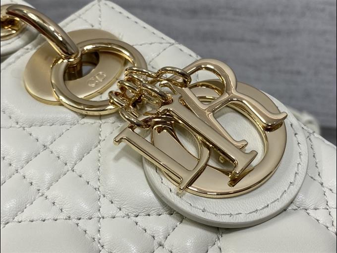 2025228Y600P205559566