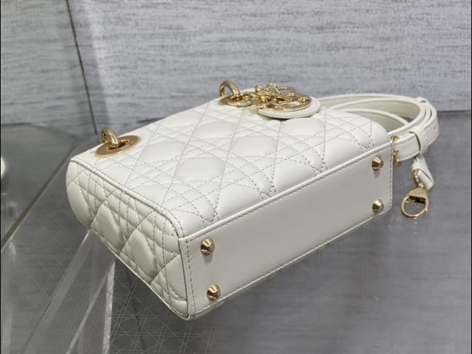 2025228Y600P205559629