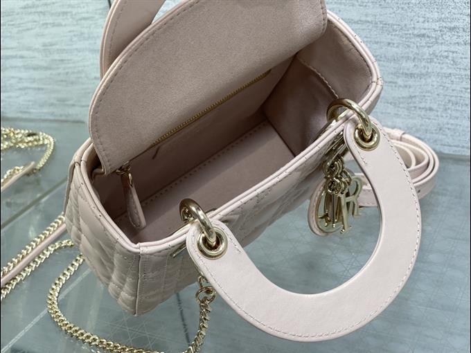 2025228Y600P20560513