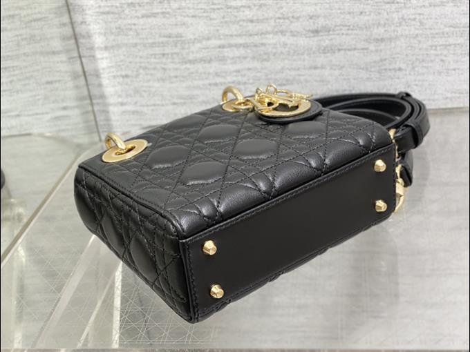 2025228Y600P20560623