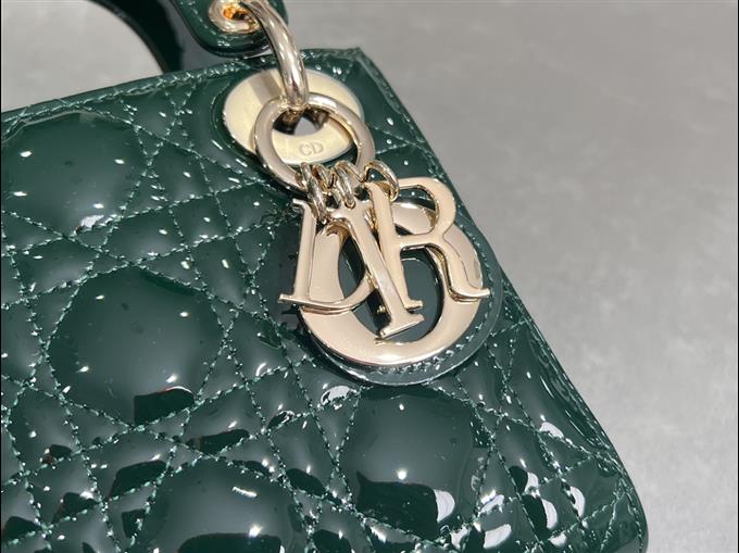 2025228Y600P205610313