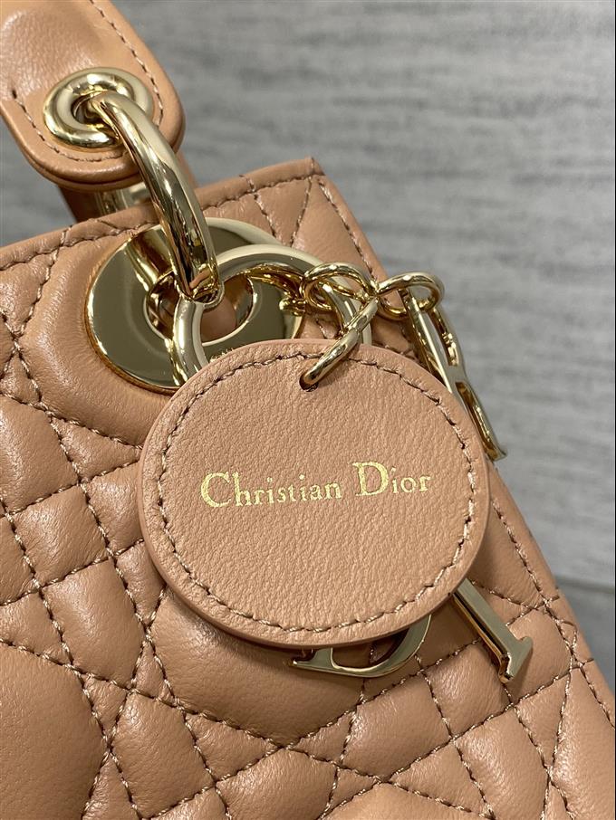 2025228Y600P205611267