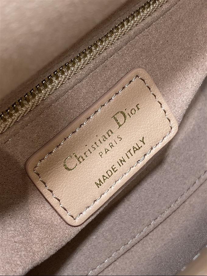 2025228Y600P205611345