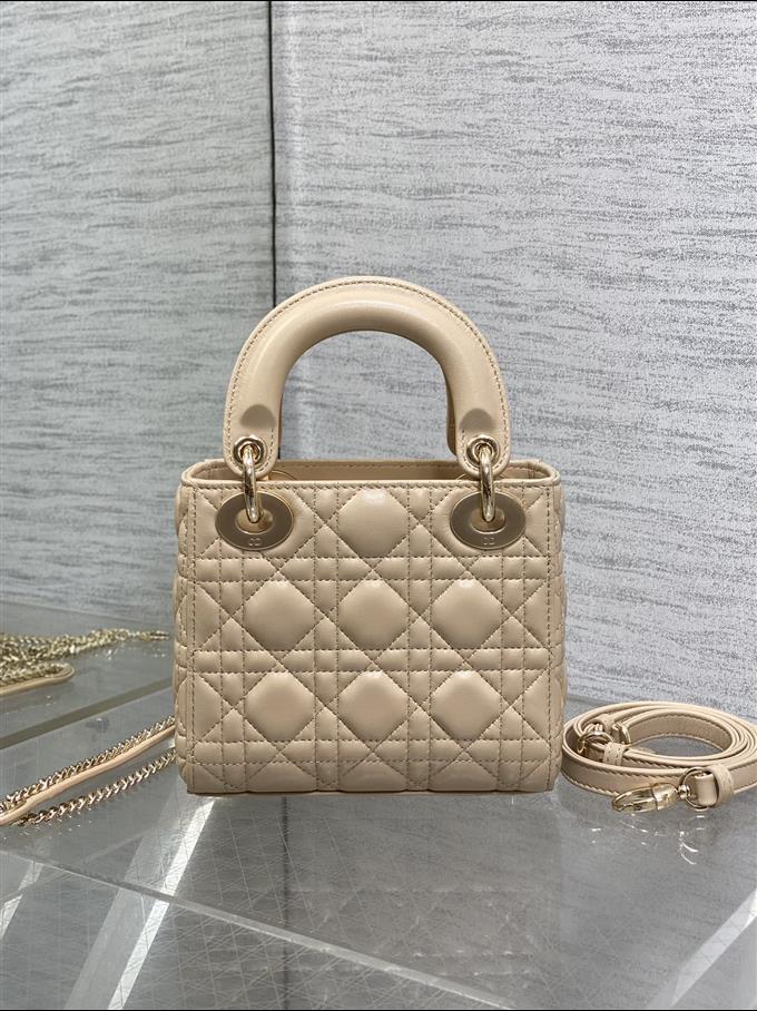 2025228Y600P205611423