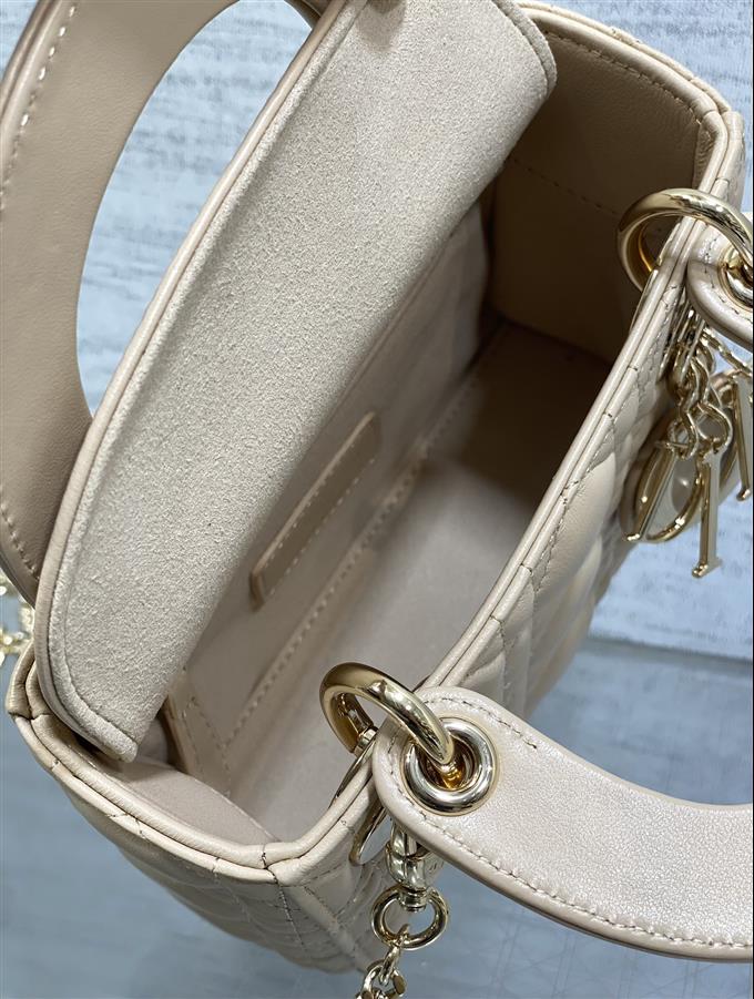 2025228Y600P205611469