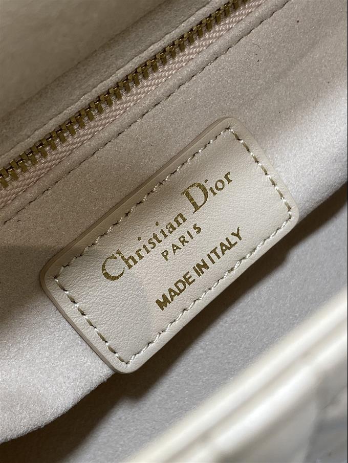 2025228Y600P205611485