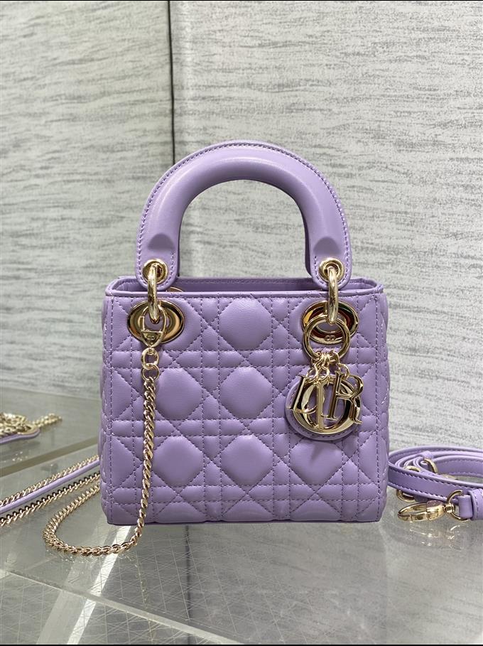 2025228Y600P205611517