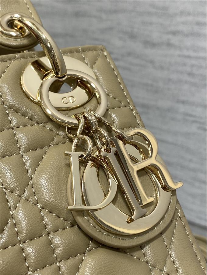 2025228Y600P205611960