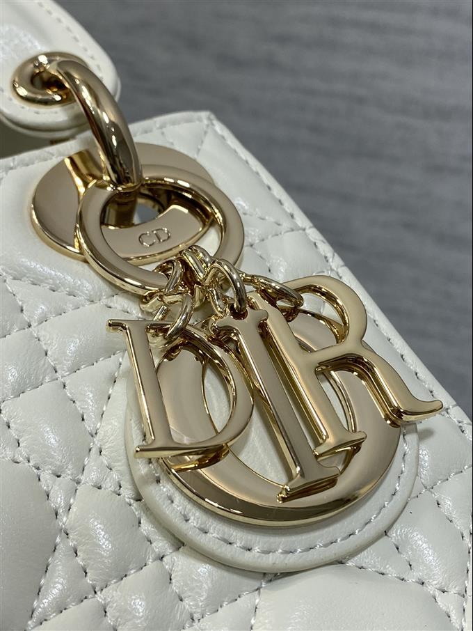 2025228Y600P205612104