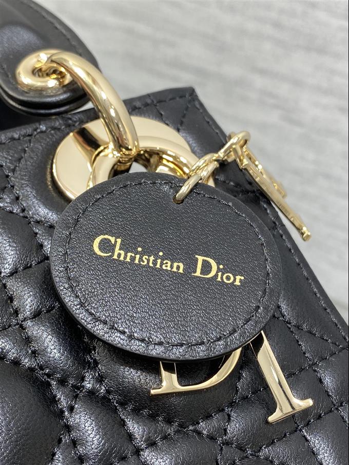 2025228Y600P205612277