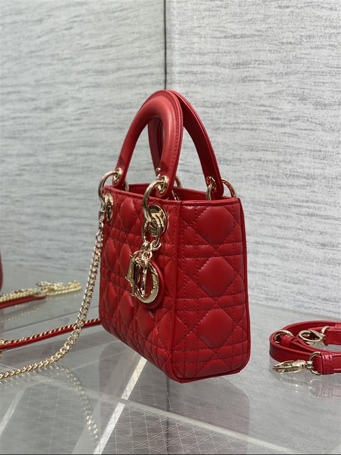 2025228Y600P205612595