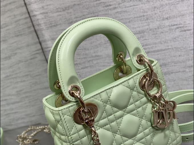 2025228Y600P205613229