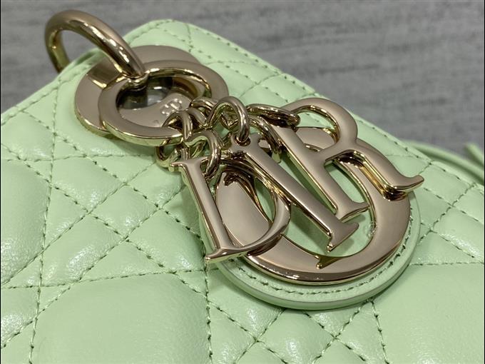 2025228Y600P205613245