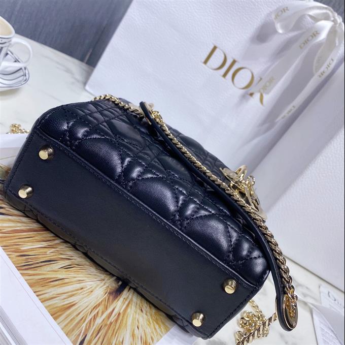 2025228Y600P20561567