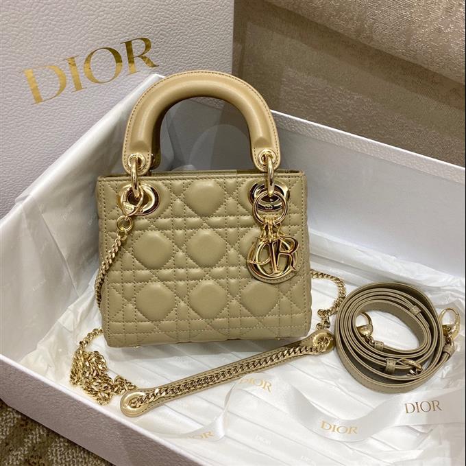 2025228Y600P205615777