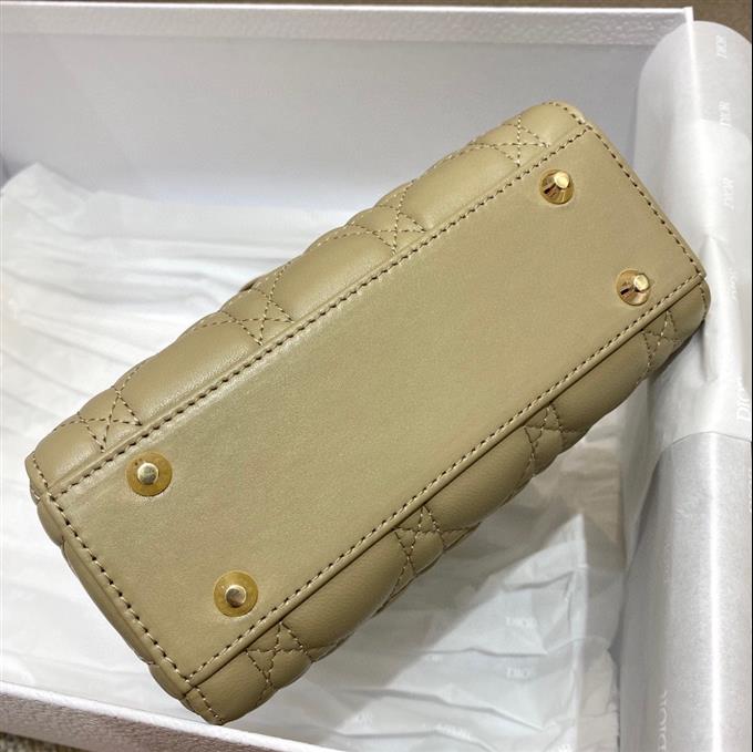 2025228Y600P205615824