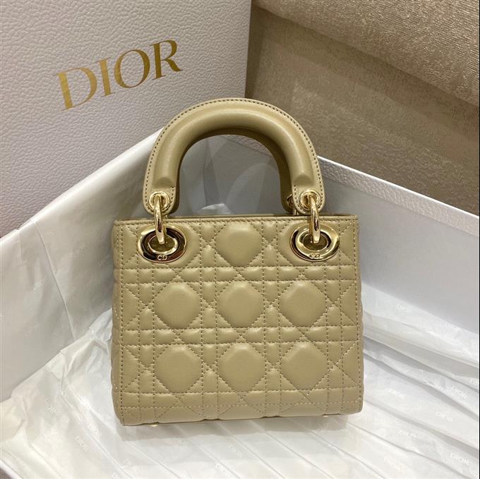 2025228Y600P205615840