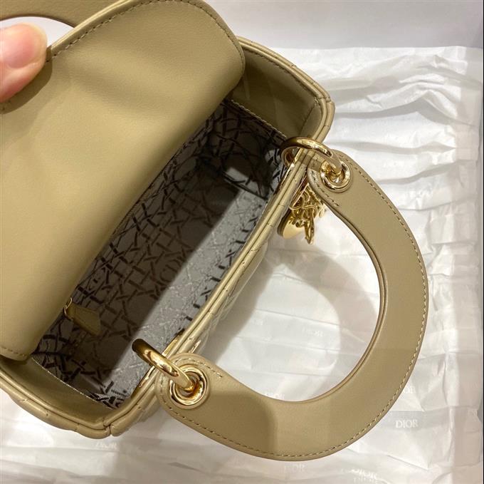 2025228Y600P205615888