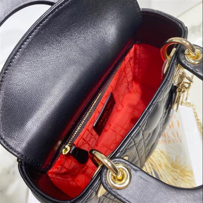 2025228Y600P20561598