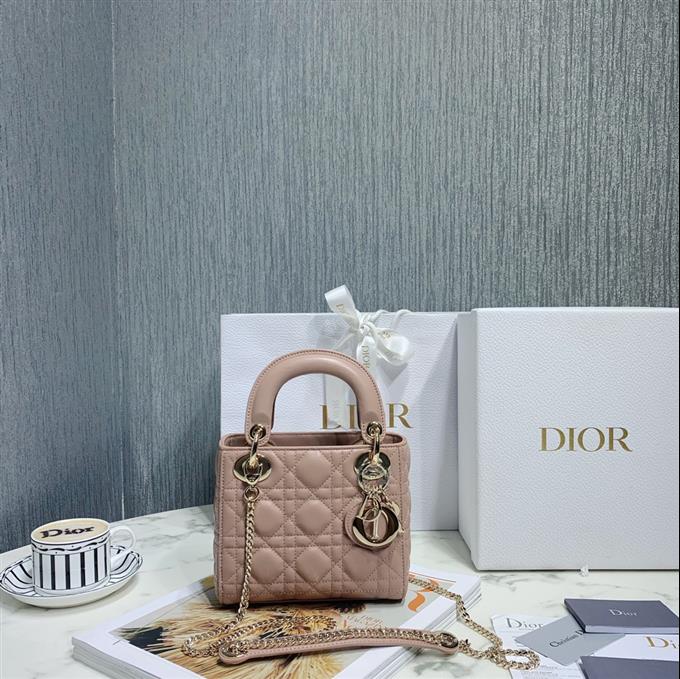 2025228Y600P20562401