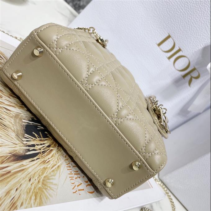 2025228Y600P20562621