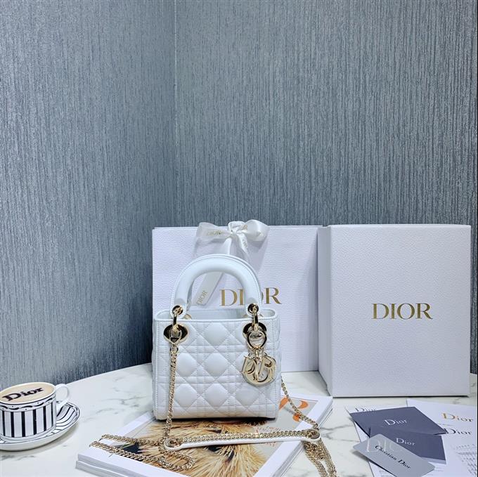 2025228Y600P20562792