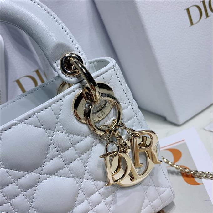 2025228Y600P20562808