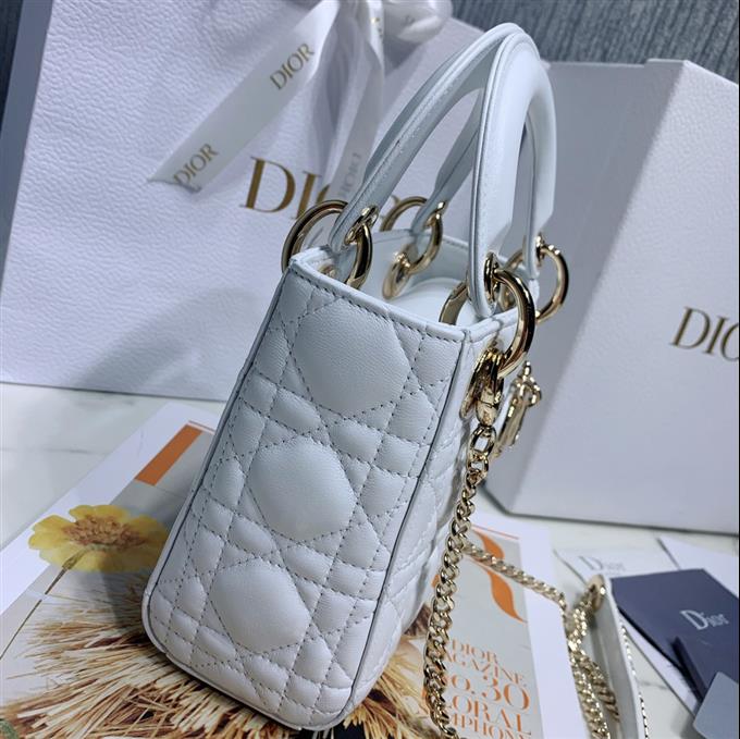 2025228Y600P20562824