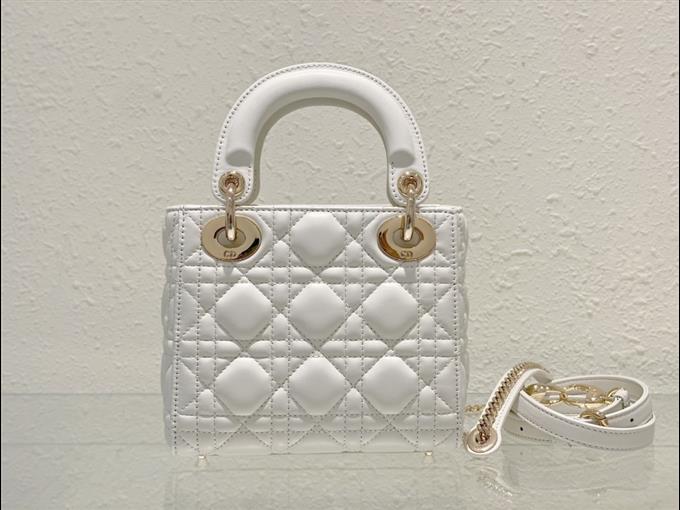 2025228Y600P20563517