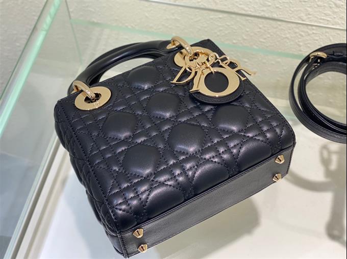 2025228Y600P20564566