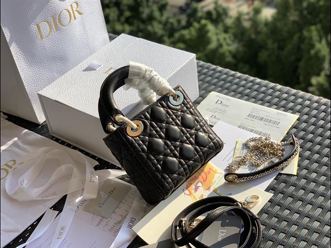 2025228Y900P221259550