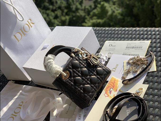 2025228Y900P221259566