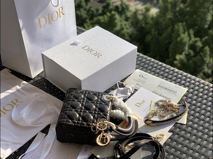 2025228Y900P221259582