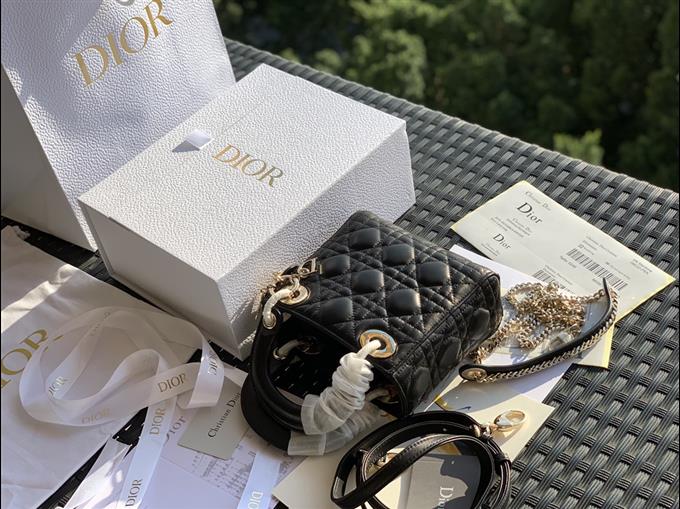 2025228Y900P221259598