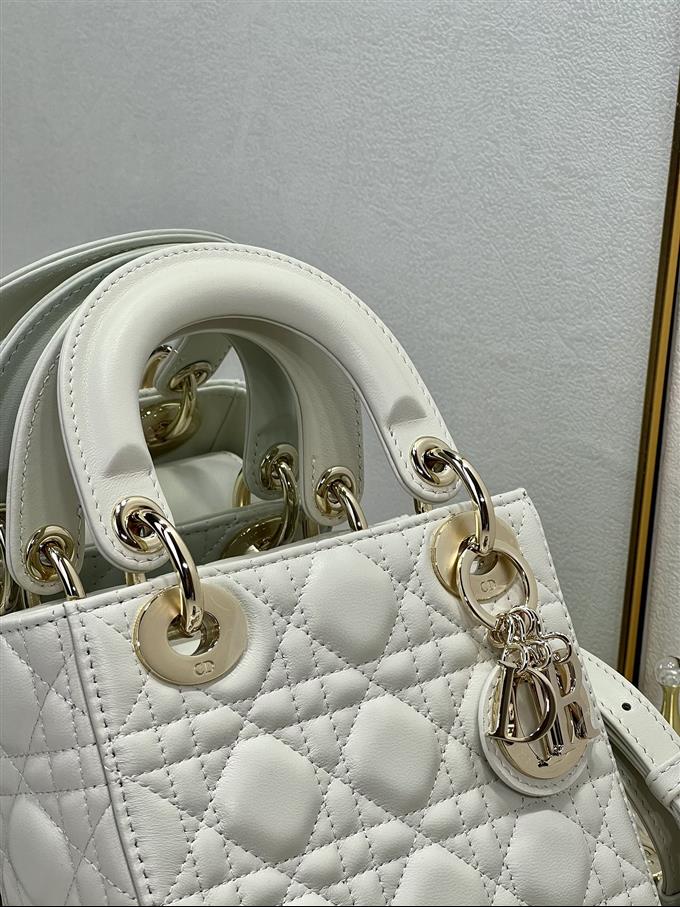 2025228Y600P212519154