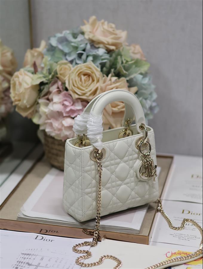 2025228Y600P212519531