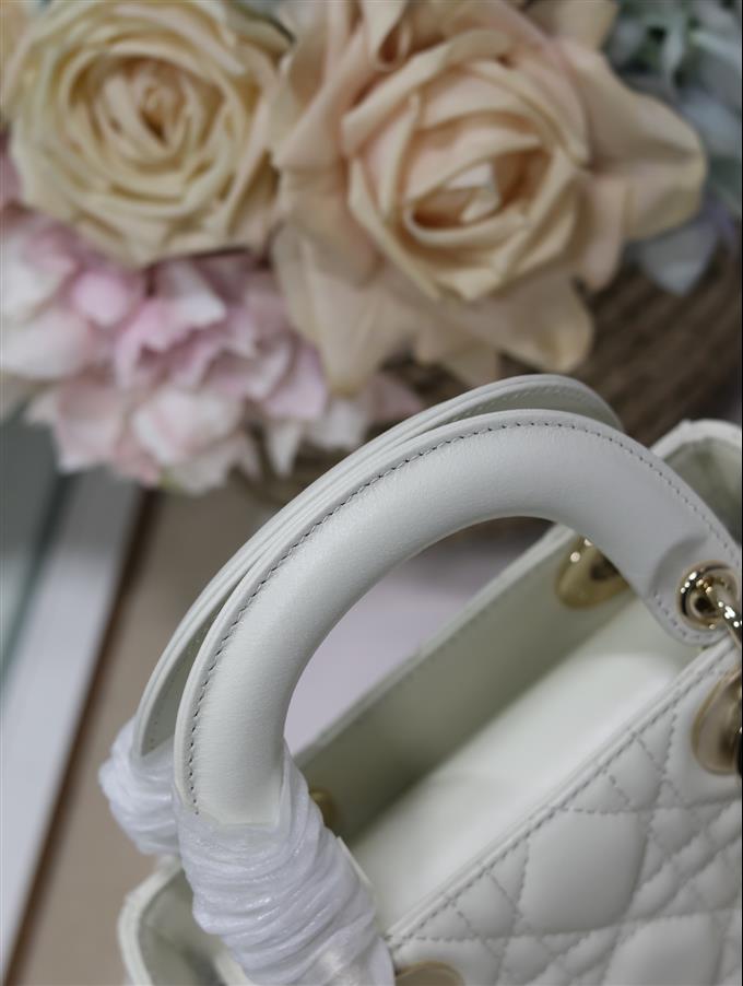 2025228Y600P212519562