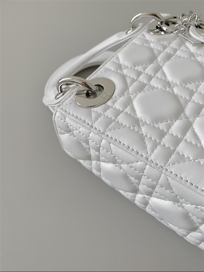 2025228Y600P212520501