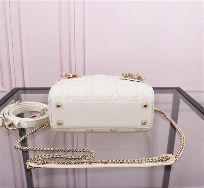 2025228Y600P212523170